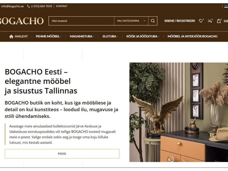 Tehtud tööde näidis, bogacho e-pood